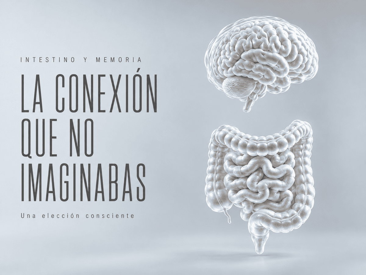 Intestino y Memoria: La Conexión Cerebro-Intestino que Nadie Te Contó