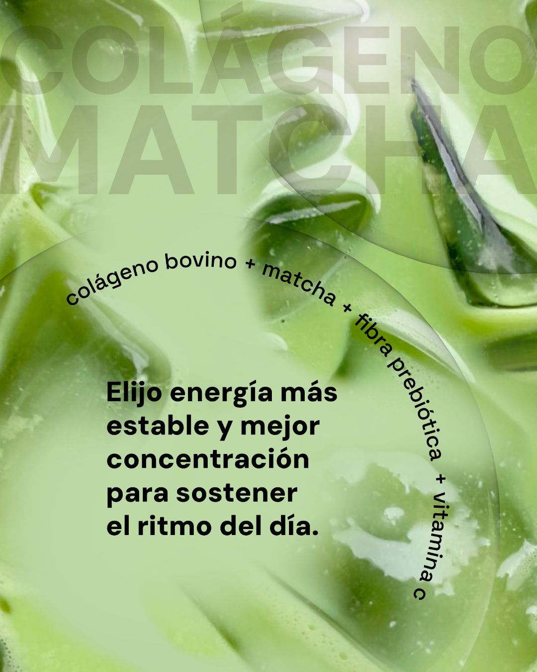 Colágeno Matcha 75g | 15 Porciones