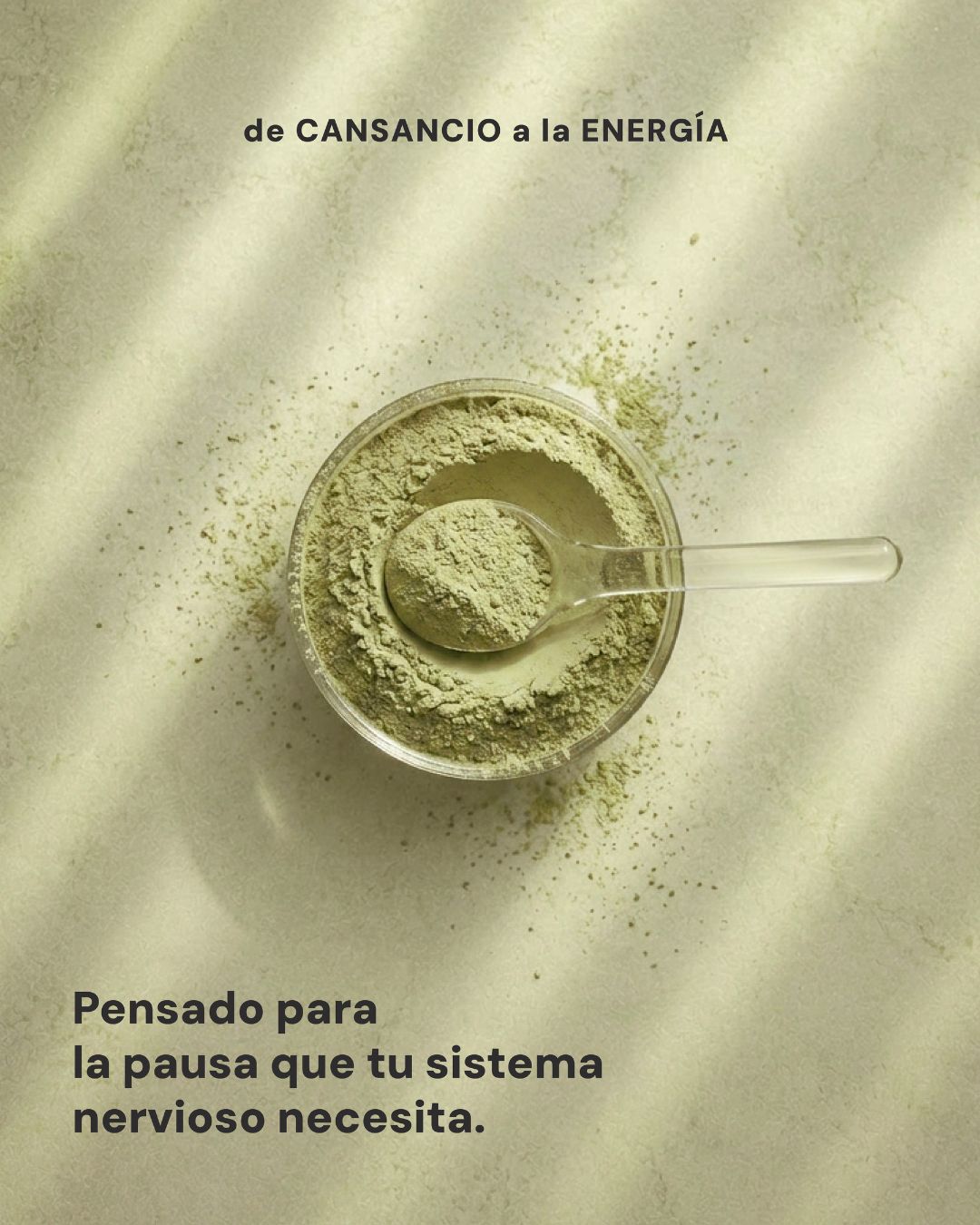 Colágeno Matcha 75g | 15 Porciones